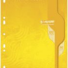 Feuilles simples 21x29,7 perf. grands carreaux 80 g 100p jaune